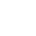icon1