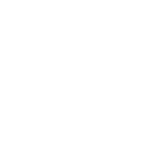 icon1