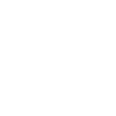 icon1