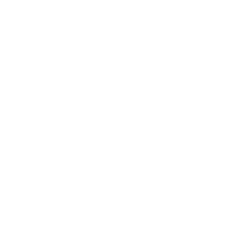icon2