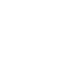 icon1